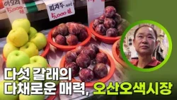 다섯 갈래의 다채로운 매력, 오산오색시장 [생활의 발견] | KBS 260921 방송