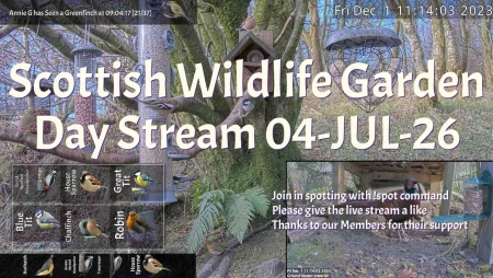 Bird Feeder and Wildlife Camera in Scotland