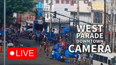 Downtown Kingston Live Street View from West Parade