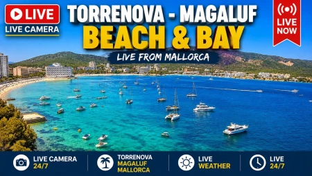 Magaluf and Palmanova Beach Live from Mallorca