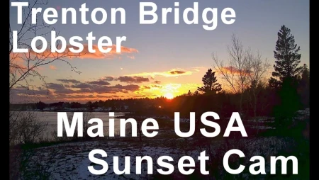 Trenton Bridge Lobster - Acadia National Park